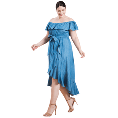 Plus Size Denim Dress