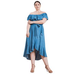 Plus Size Denim Dress